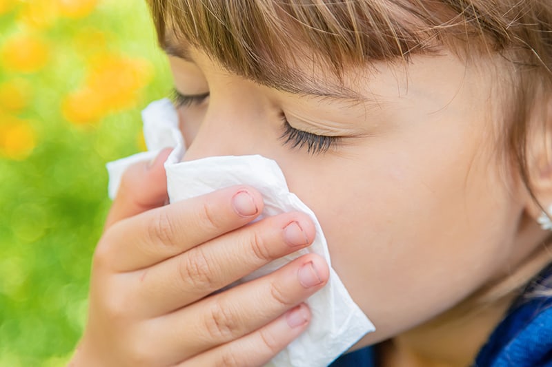 Tratament homeopatic alergii respiratorii sezoniere